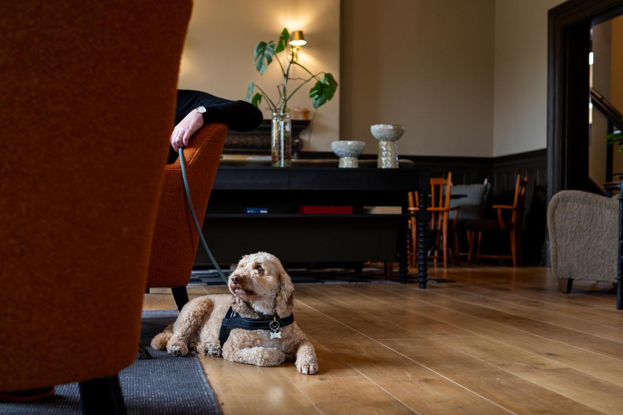 New Park Manor Hotel Brockenhurst Bagian luar foto